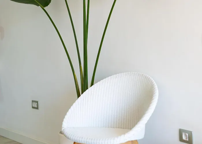 El Poris 포리스 데 아보나