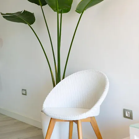 El Poris بوريس دي أبونا